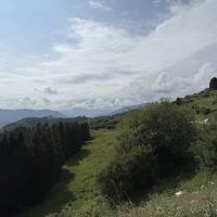 評論圖片 6
