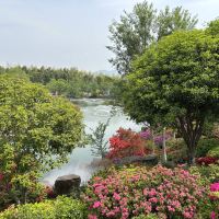 評論圖片 2