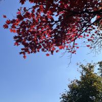 評論圖片 5