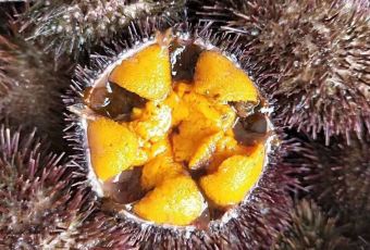 Nan Shan Xiao Yu Cun User Photo