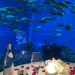 OSSIANO UNDERWATER RESTAURANT & BAR User Photo