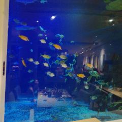 三亞亞龍灣迎賓館·海洋主題海藍餐廳張用戶圖片