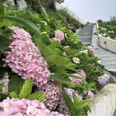 嵊泗嵊山島極東憶棧海景民宿·極東憶棧餐廳張用戶圖片