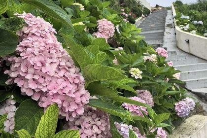 嵊泗嵊山島極東憶棧海景民宿·極東憶棧餐廳