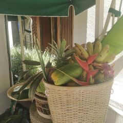 xiang Chinese restaurant User Photo