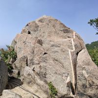 評論圖片 6