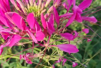 天乐农家鱼头王(天目湖店) 여행 사진