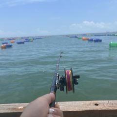 渔舟畅晚_出海捕鱼 User Photo