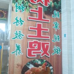 树上土鸡 User Photo