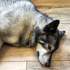 Summer越式小館張用戶圖片