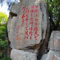 評論圖片 6