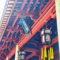 評論圖片 1