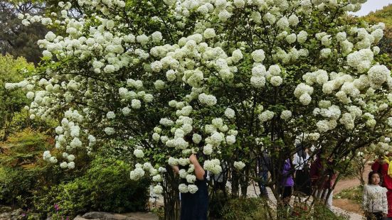 铁山坪森林公园位于重庆两江新区，距离市区二十多公里，行程一个