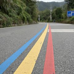 岳西黄尾山林土鸡农家乐 User Photo