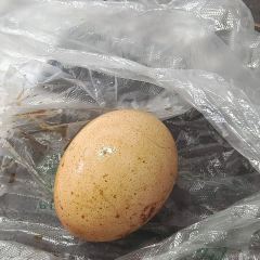早点见面(东环南路店) User Photo