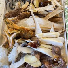 云味.野生菌火锅(云纺店) User Photo