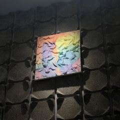 三年二班 User Photo