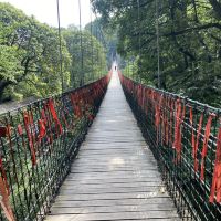 評論圖片 7
