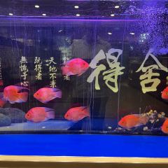 春熙小馆(朝阳小区店) User Photo
