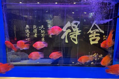春熙小馆(朝阳小区店)