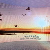 評論圖片 1