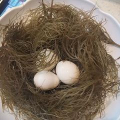 琼州糟粕醋·海南酸汤火锅(椰梦长廊店) User Photo