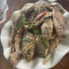 渔舟畅晚_出海捕鱼 User Photo