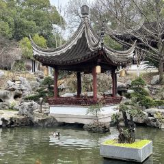 JUBILEE GARDEN User Photo