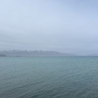評論圖片 4
