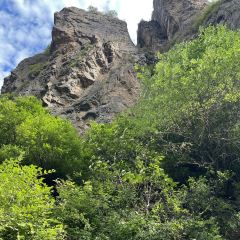 众鑫莜面村 User Photo