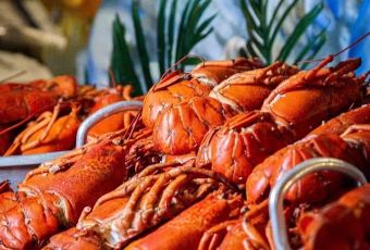 Noble International Hotel·Weisidina Western Restaurant User Photo