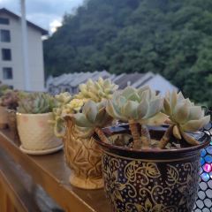 老店风味 User Photo