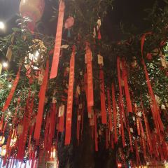 Tangshan Banquet User Photo