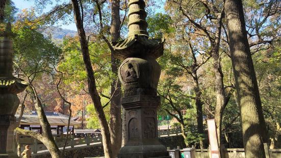 到宁波，天童寺【景色】非【性价比】【趣味】【景色】【性价比】