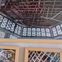 Oyster fort·Origin of Species (Weihai Flagship Store) User Photo