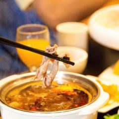 蒙都43°9羊火锅(双子座店) User Photo