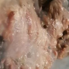 老槐树清真烧羊肉(金乡店) User Photo