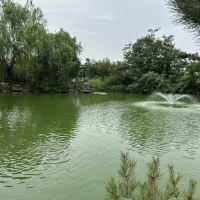 評論圖片 3