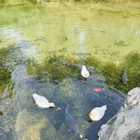 評論圖片 2