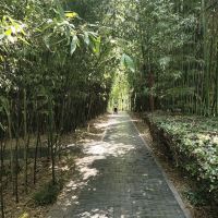 評論圖片 6