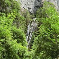評論圖片 6