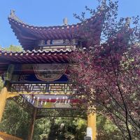 評論圖片 2