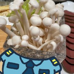 蒙都43°9羊火锅(平庄店) User Photo