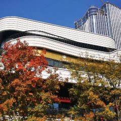 Shake Shack(前滩太古里店) User Photo