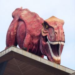 恐龙山服务区餐厅 여행 사진