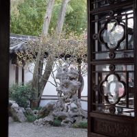 評論圖片 3