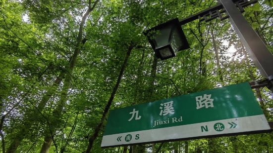 Y字形地图，北端一边是龙井村，一边是杨梅岭村，以九溪烟树分叉