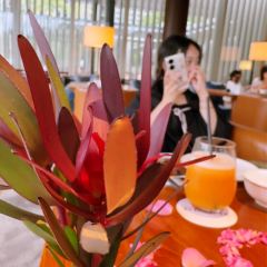 Xian Hai By The Sea User Photo