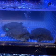 老胡柴火魚總店張用戶圖片
