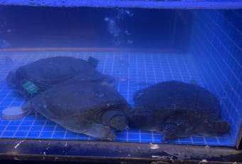 老胡柴火魚·東江湖魚（總店）用戶圖片